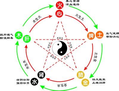 森五行|森字五行属什么